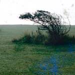 image: Image from the photoset &lsquo;damage (cccv)&rsquo;.