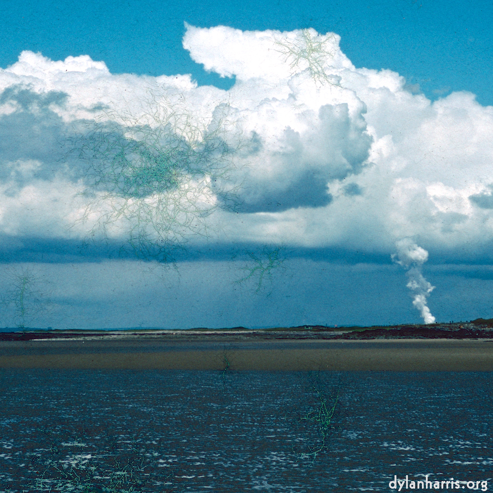 image: This is &lsquo;damage (cccvi) 2&rsquo;.