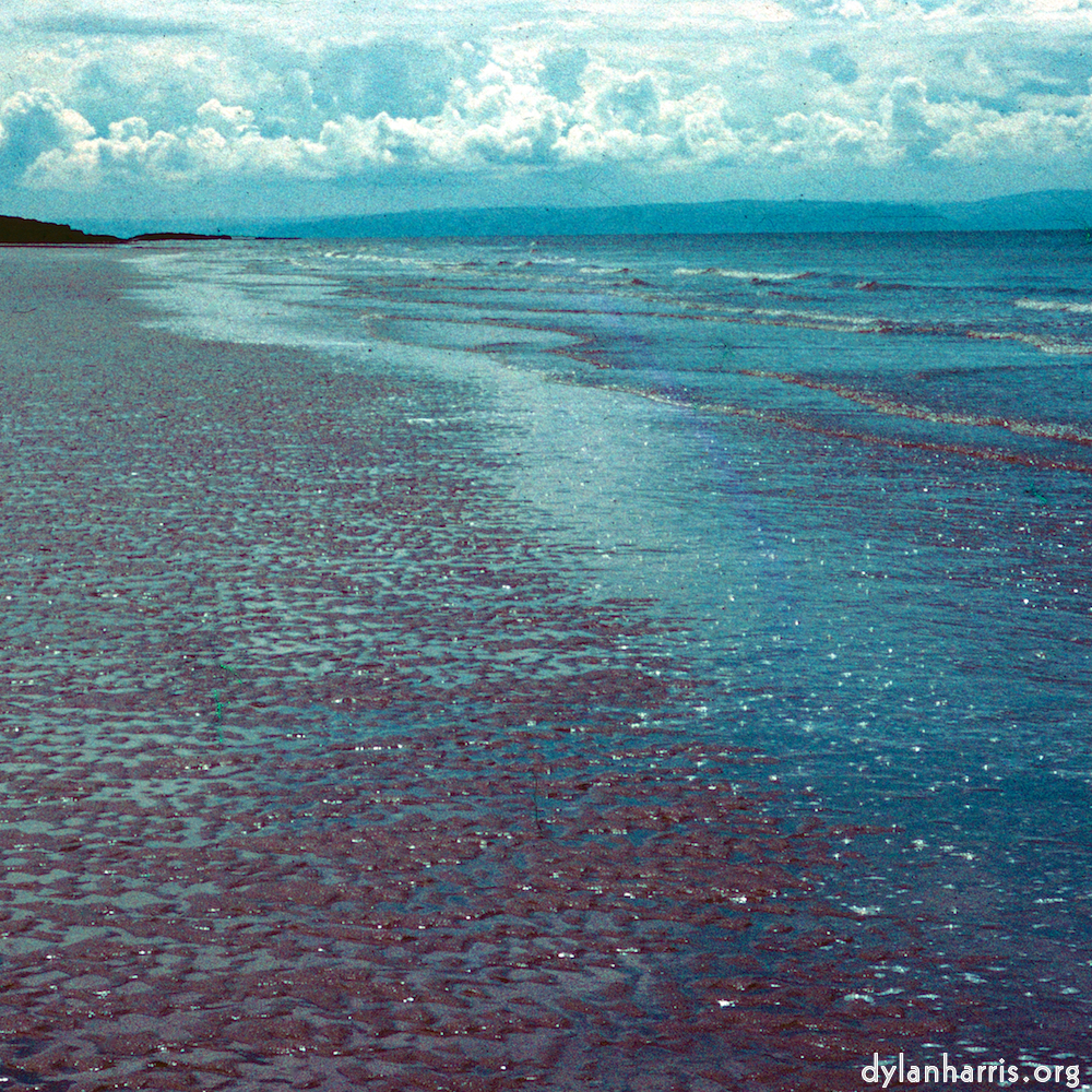 image: This is &lsquo;damage (cccvi) 7&rsquo;.