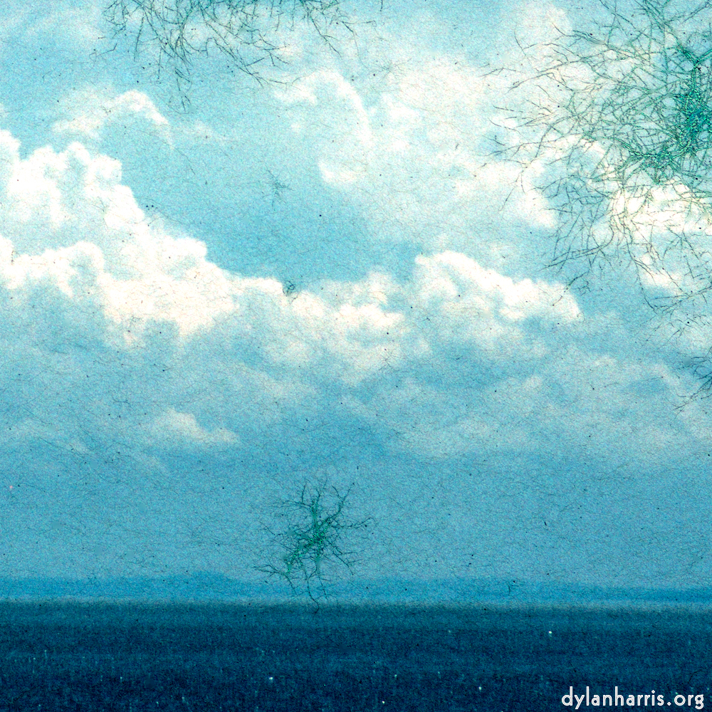 image: This is &lsquo;damage (cccvi) 8&rsquo;.