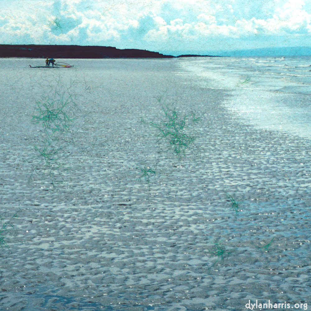 image: This is &lsquo;damage (cccvi) 9&rsquo;.