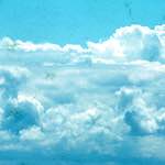 image: damage (cccvi) photoset