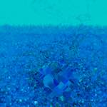 image: Image from the photoset &lsquo;damage (cccvi)&rsquo;.