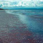 image: Image from the photoset &lsquo;damage (cccvi)&rsquo;.