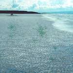 image: Image from the photoset &lsquo;damage (cccvi)&rsquo;.