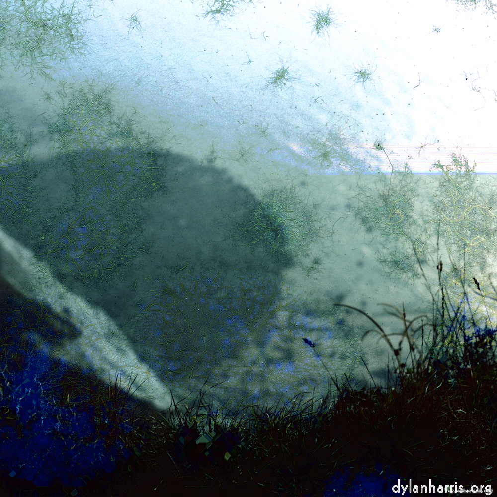 image: This is &lsquo;damage (cccvii) 8&rsquo;.