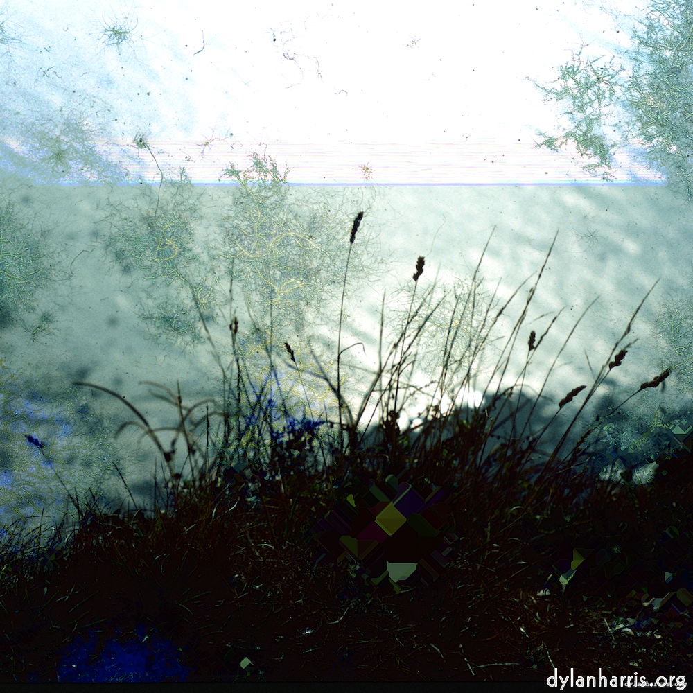 image: This is &lsquo;damage (cccvii) 9&rsquo;.