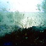 image: Image from the photoset &lsquo;damage (cccvii)&rsquo;.