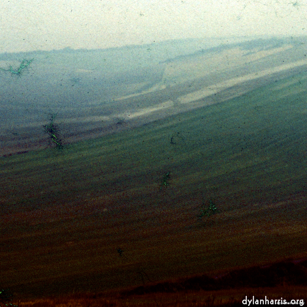 image: This is &lsquo;damage (cccviii) 4&rsquo;.