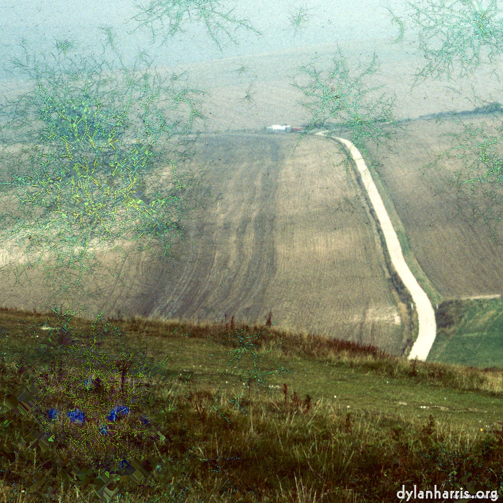 image: This is &lsquo;damage (cccviii) 5&rsquo;.