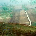 image: Image from the photoset &lsquo;damage (cccviii)&rsquo;.