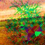 image: Image from the photoset &lsquo;damage (cccviii)&rsquo;.