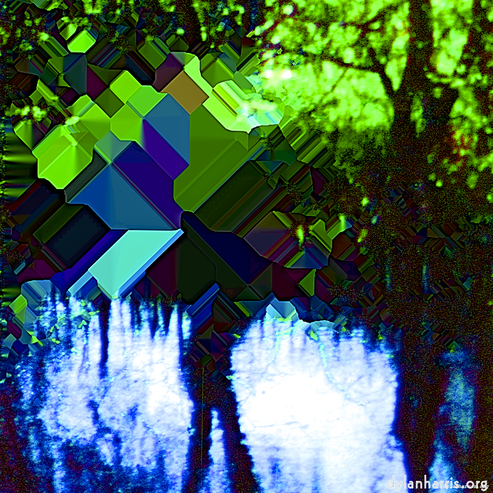 image: This is &lsquo;damage (cccix) 2&rsquo;.