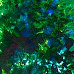 image: Image from the photoset &lsquo;damage (cccix)&rsquo;.