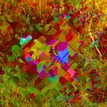 image: Image from the photoset &lsquo;damage (cccix)&rsquo;.