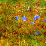 image: Image from the photoset &lsquo;damage (cccix)&rsquo;.