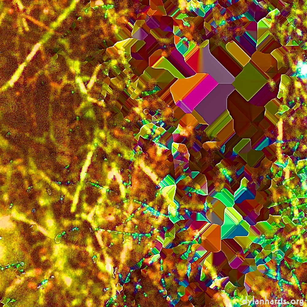 image: This is &lsquo;damage (cccx) 2&rsquo;.