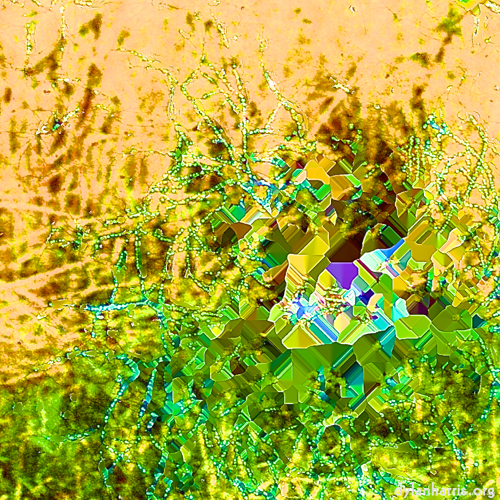 image: This is &lsquo;damage (cccx) 5&rsquo;.