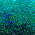 image: Image from the photoset &lsquo;damage (cccx)&rsquo;.