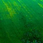 image: Image from the photoset &lsquo;damage (cccxi)&rsquo;.