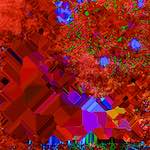 image: damage (cccxi) photoset