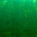 image: Image from the photoset &lsquo;damage (cccxi)&rsquo;.