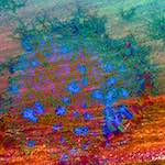 image: Image from the photoset &lsquo;damage (cccxii)&rsquo;.