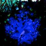 image: Image from the photoset &lsquo;damage (cccxiii)&rsquo;.