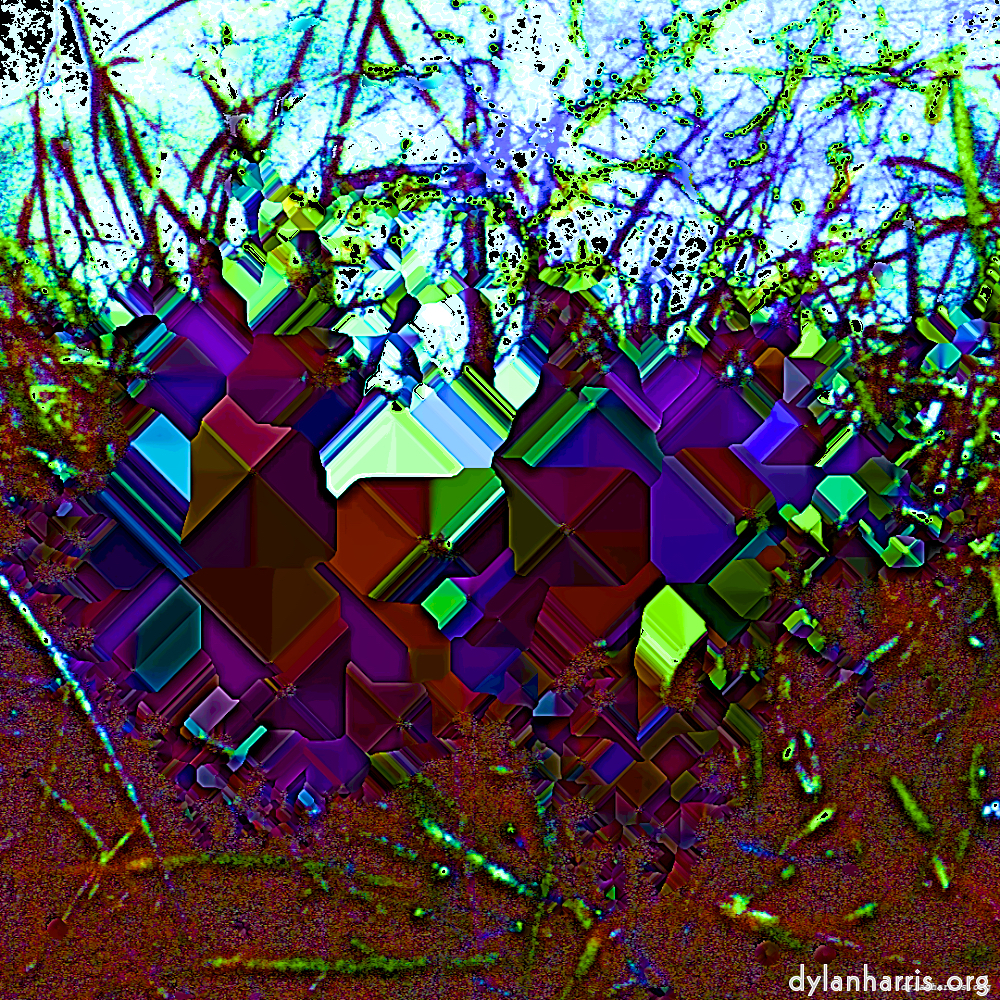 image: This is &lsquo;damage (cccxiv) 5&rsquo;.