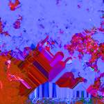 image: Image from the photoset &lsquo;damage (cccxiv)&rsquo;.