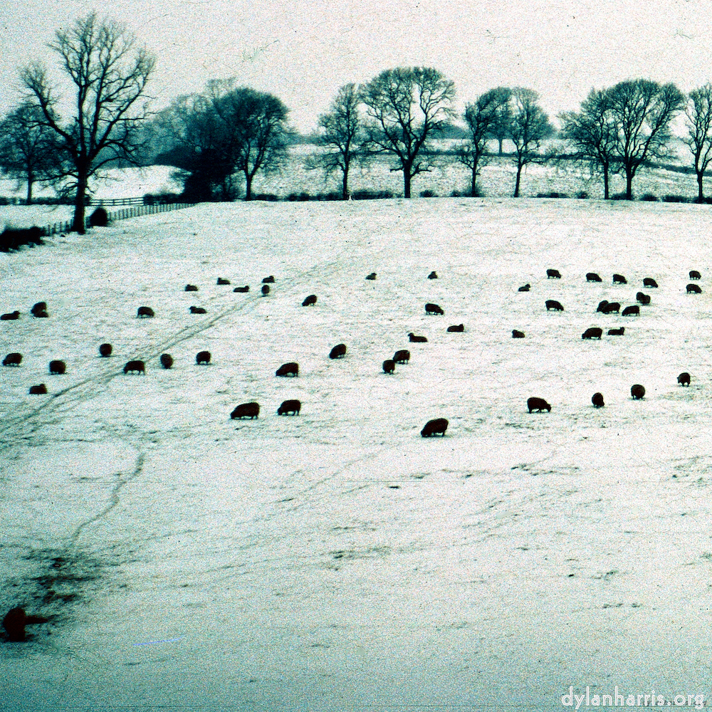 image: Heir ist &lsquo;damage (cccxv) 2&rsquo;.