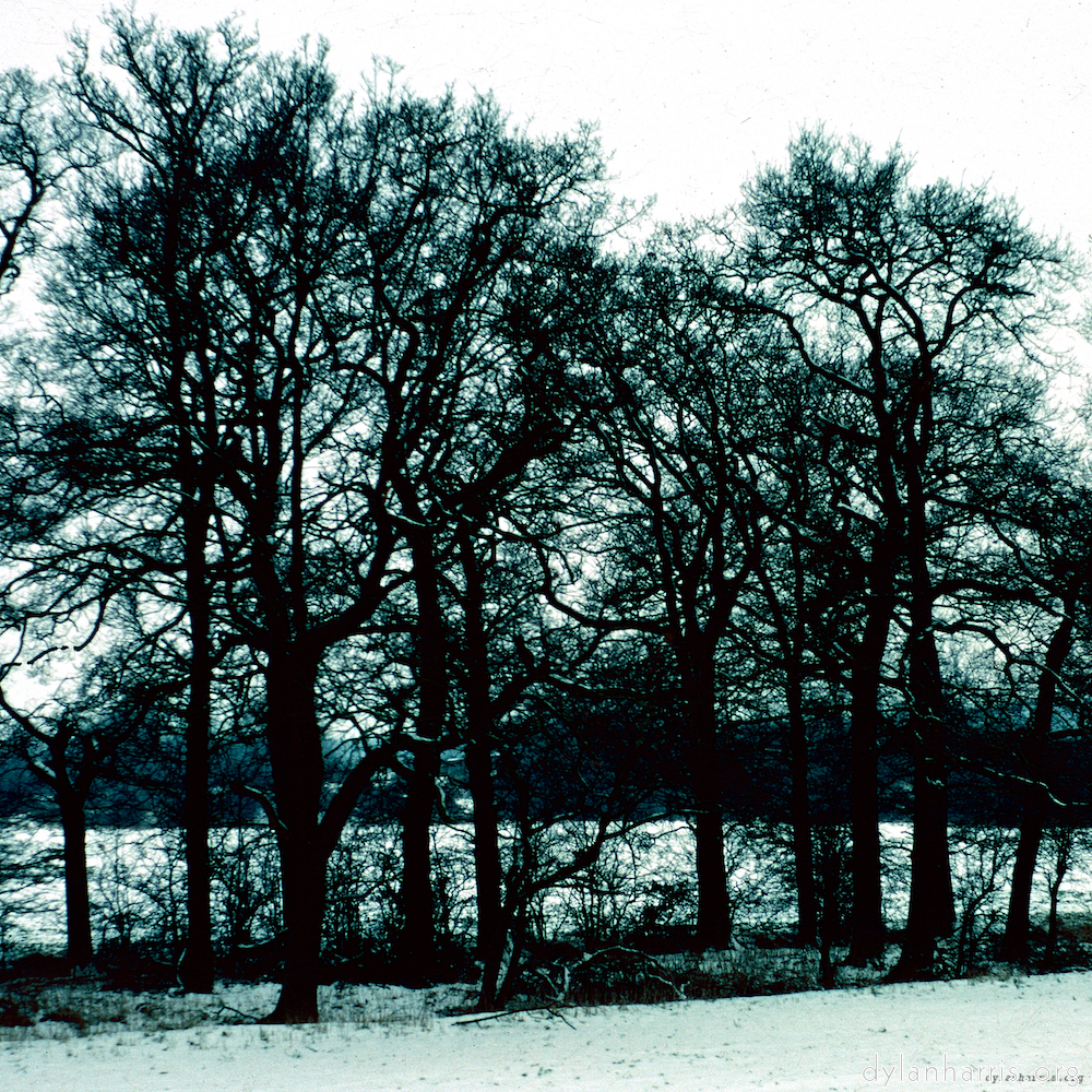 image: This is &lsquo;damage (cccxv) 3&rsquo;.