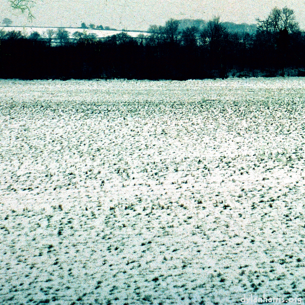 Image: Image 'damage (cccxv) 5'.