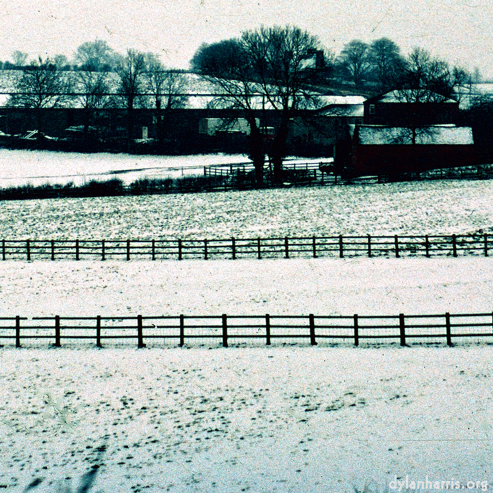 image: This is &lsquo;damage (cccxv) 6&rsquo;.