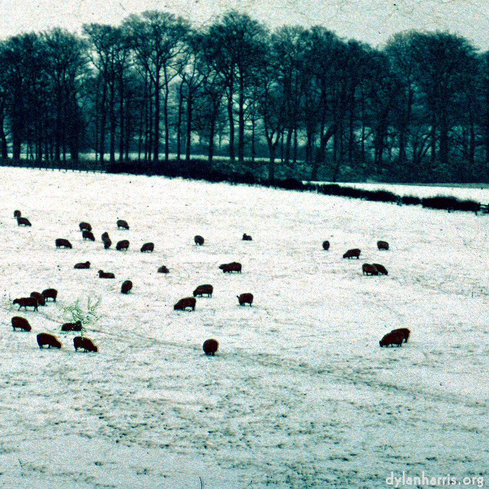 image: This is &lsquo;damage (cccxv) 7&rsquo;.