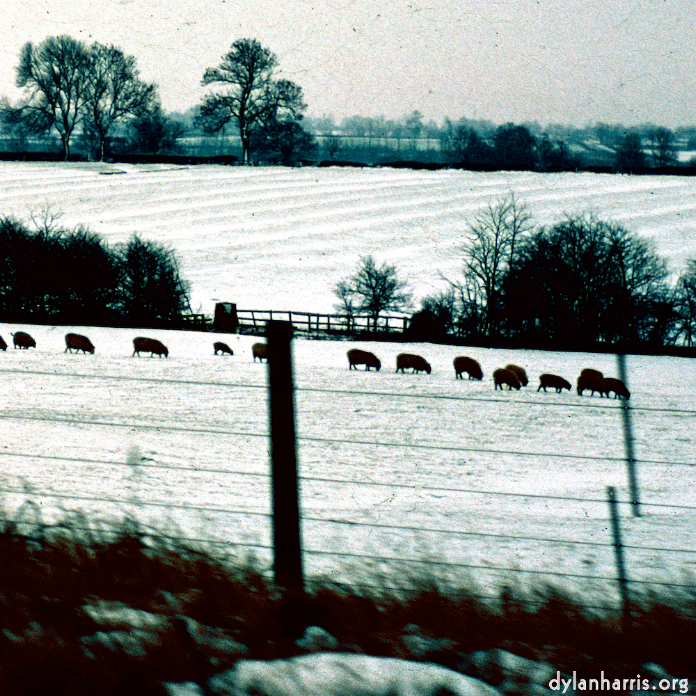 image: This is &lsquo;damage (cccxv) 9&rsquo;.