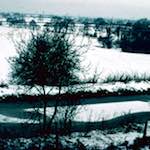 image: Image from the photoset &lsquo;damage (cccxv)&rsquo;.