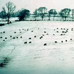 image: Image from the photoset &lsquo;damage (cccxv)&rsquo;.