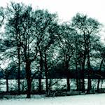 image: Image from the photoset &lsquo;damage (cccxv)&rsquo;.