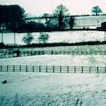 image: damage (cccxv) photoset