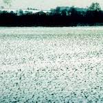 image: Image from the photoset &lsquo;damage (cccxv)&rsquo;.