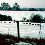 image: Image from the photoset &lsquo;damage (cccxv)&rsquo;.