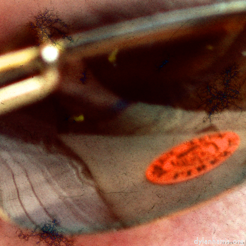 image: This is &lsquo;damage (cccxvi) 1&rsquo;.