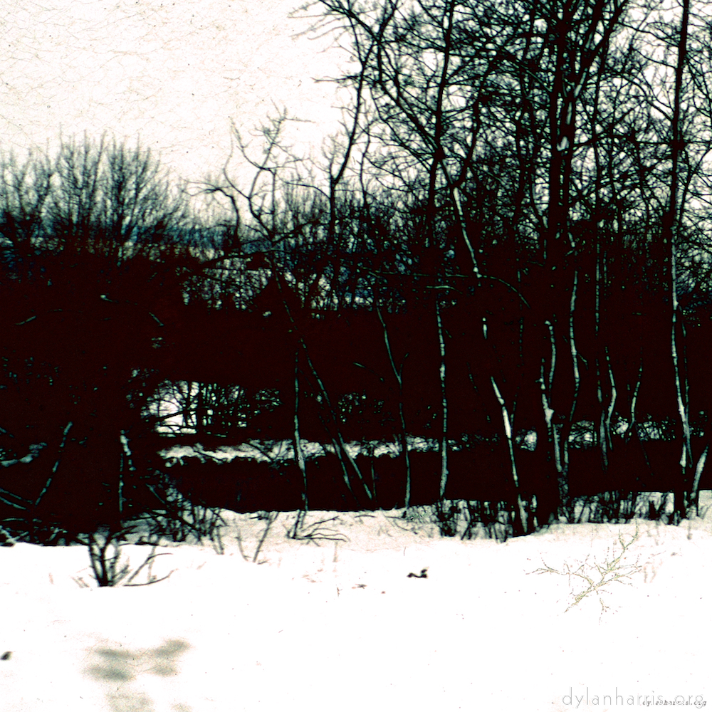 image: This is &lsquo;damage (cccxvi) 4&rsquo;.