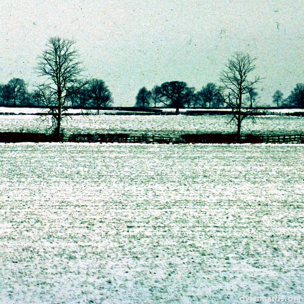 image: This is &lsquo;damage (cccxvi) 5&rsquo;.