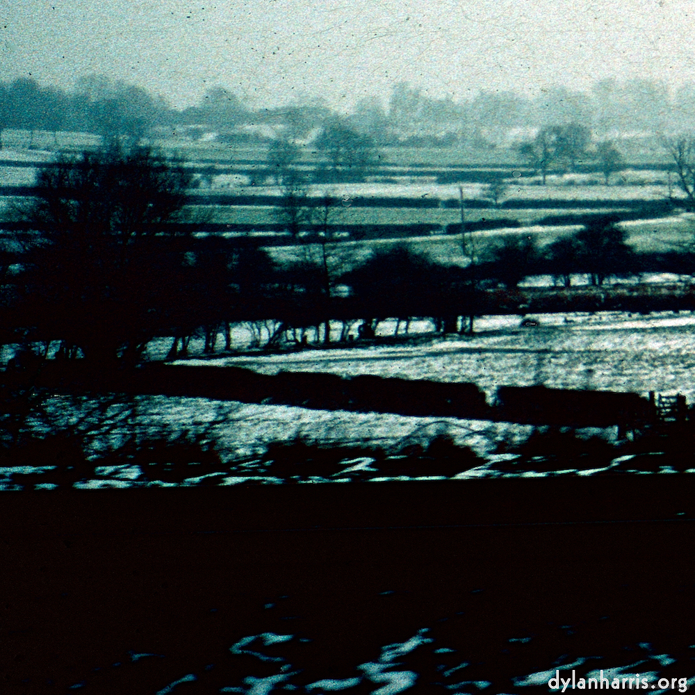 image: This is &lsquo;damage (cccxvi) 6&rsquo;.