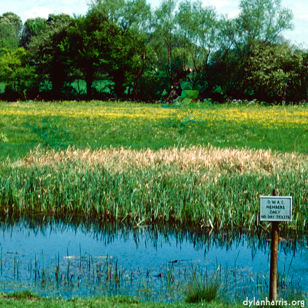 image: This is &lsquo;damage (cccxvi) 8&rsquo;.