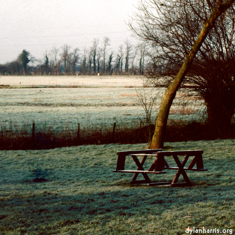 image: This is &lsquo;damage (cccxvi) 9&rsquo;.