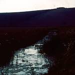 image: Image from the photoset &lsquo;damage (cccxvi)&rsquo;.