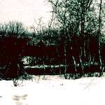 image: Image from the photoset &lsquo;damage (cccxvi)&rsquo;.